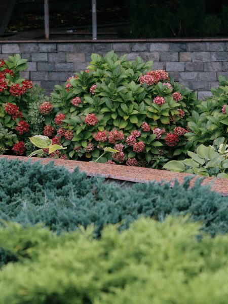 Garden — photo 1