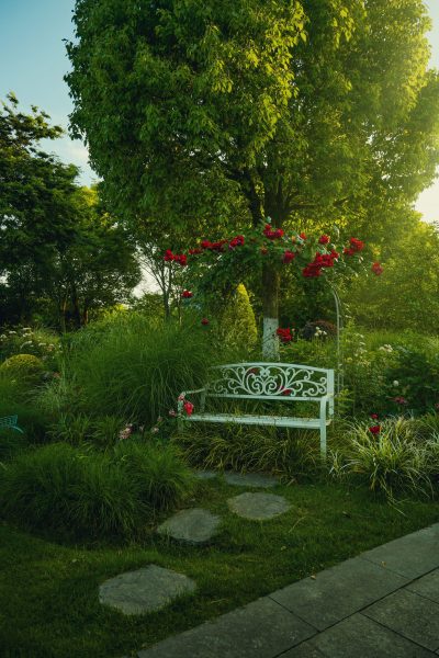 Garden — photo 3