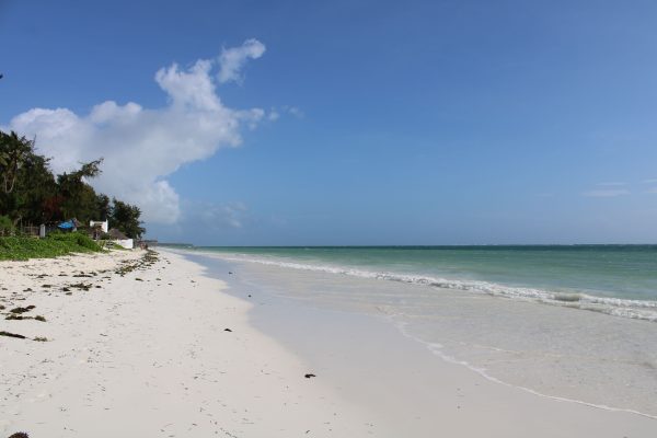 beach — photo 4