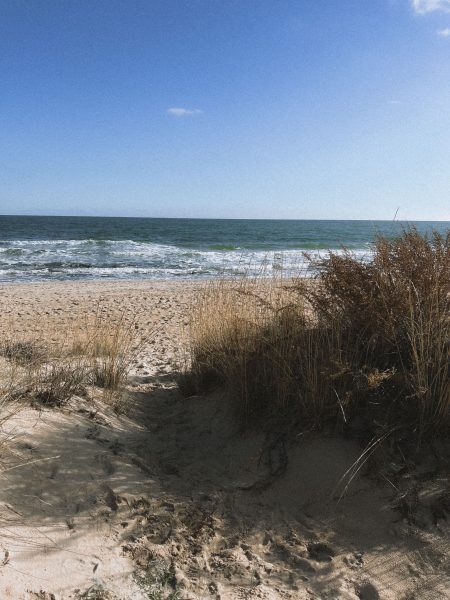 beach — photo 1